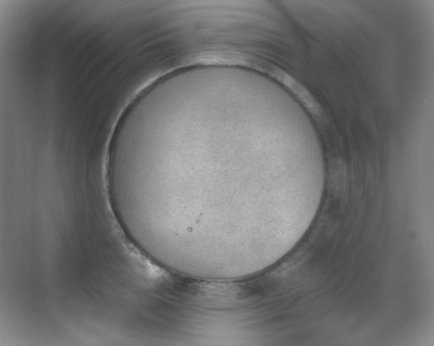 X0000070420856200606091236