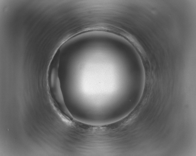 X0000070420858200606091236