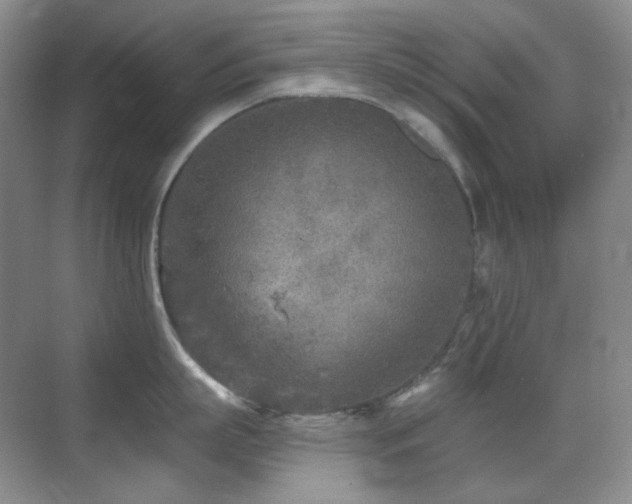 X0000070420863200606091236
