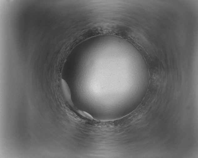 X0000070420865200606091235