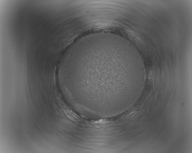 X0000070420868200606091235