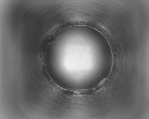 X0000070420870200606091235