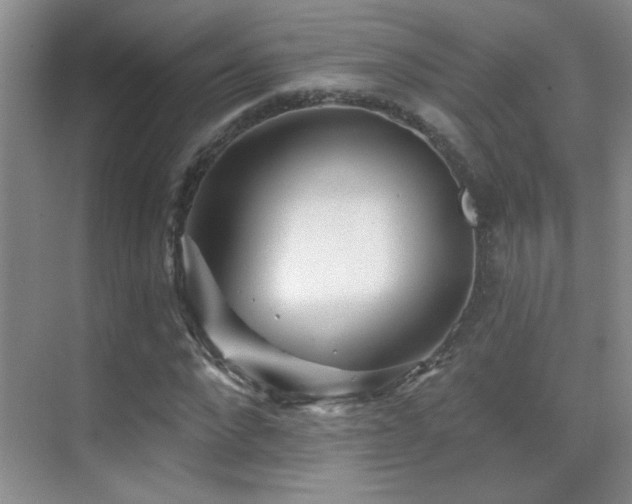 X0000070420872200606091235