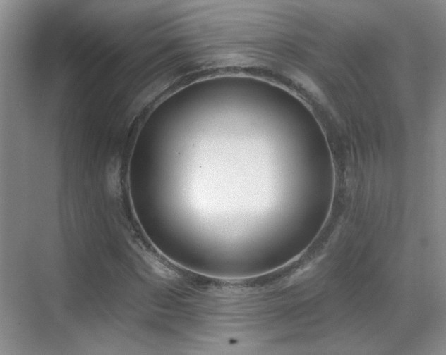 X0000070420873200606091235