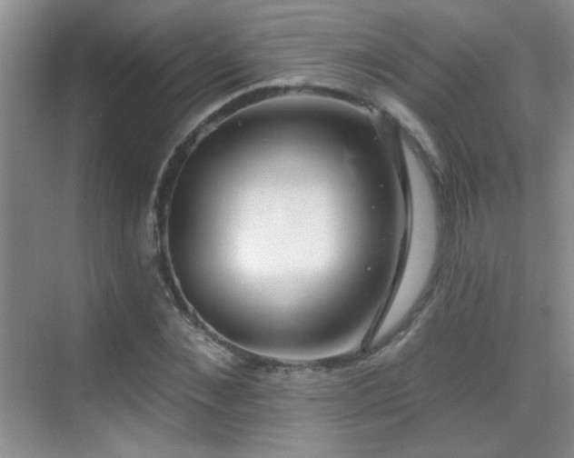 X0000070420876200606091235