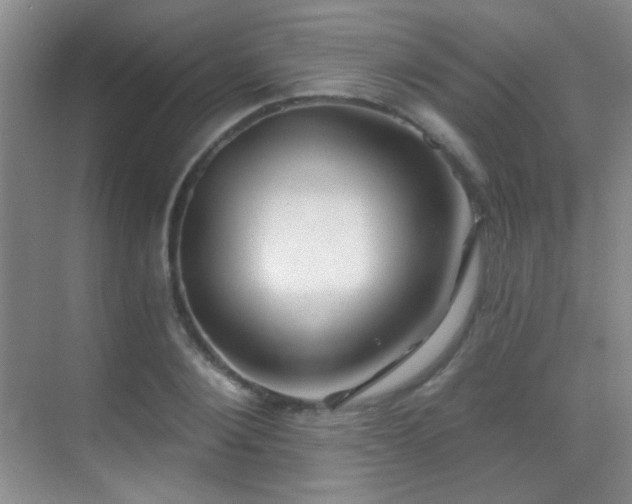 X0000070420884200606091235