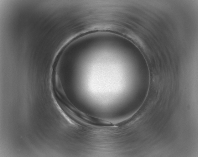 X0000070420894200606091235