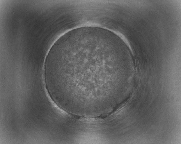 X0000070420911200606091235