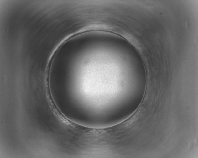 X0000070420912200606091235