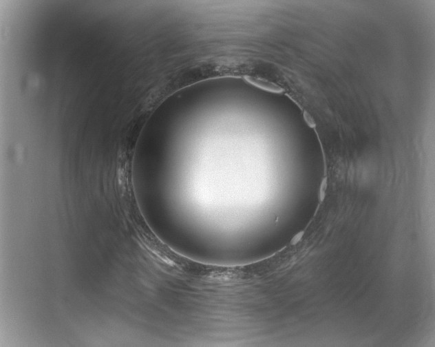 X0000070420914200606091234
