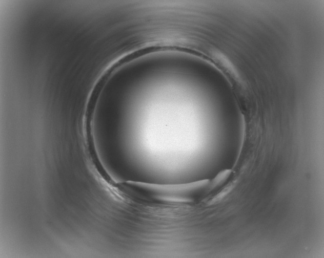 X0000070420932200606091234
