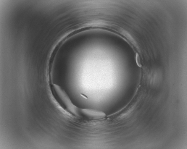 X0000070420939200606091234