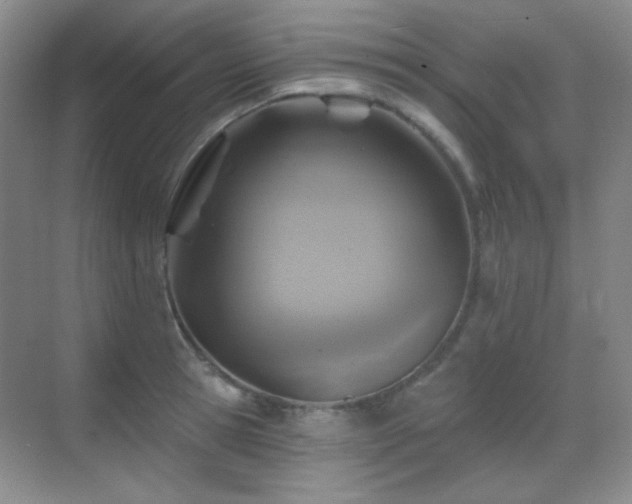 X0000070420945200606091234