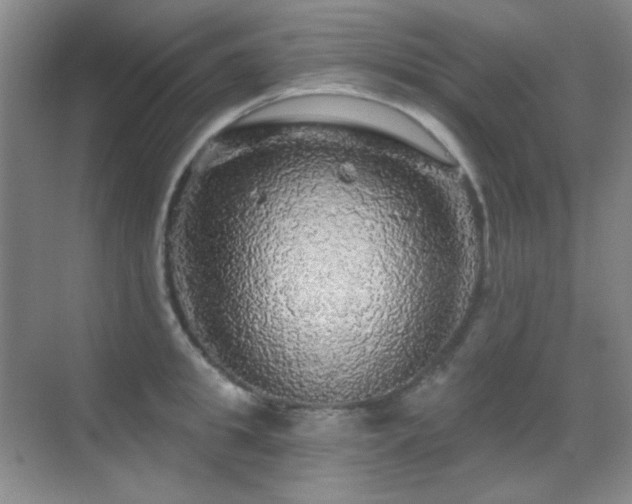 X0000070420949200606091234