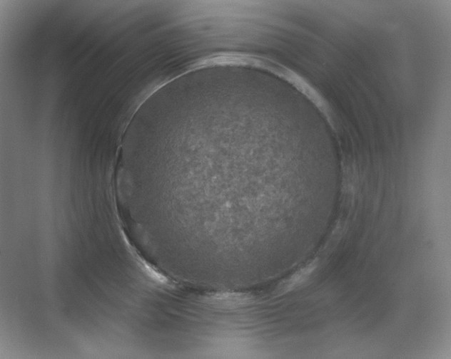 X0000070420953200606091234