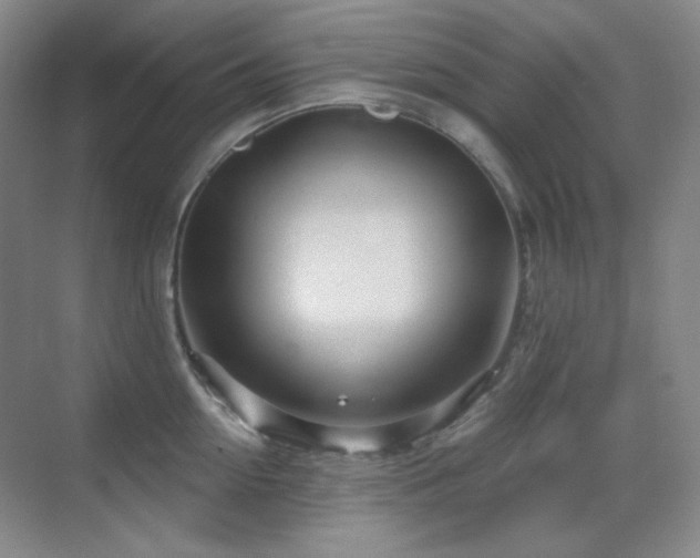 X0000070420954200606091234