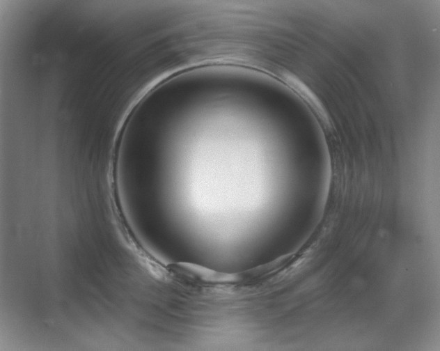 X0000070420956200606091234