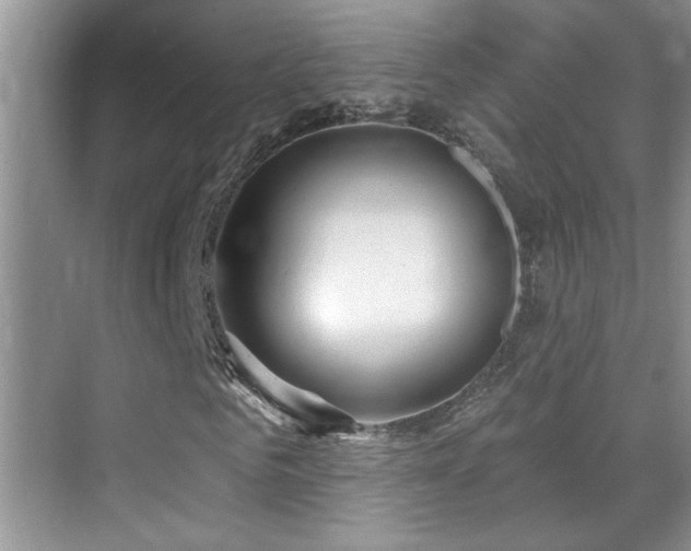 X0000070420961200606091234