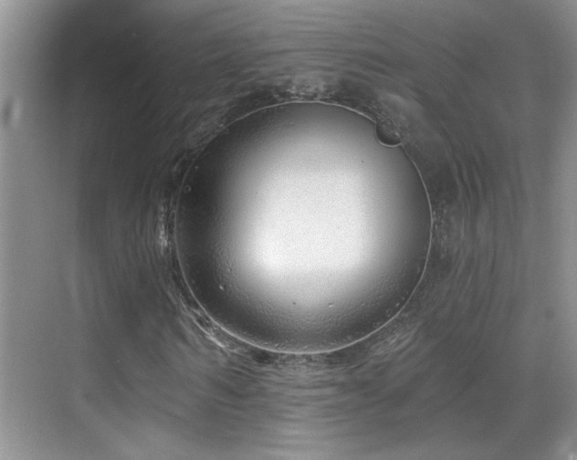 X0000070420962200606091234