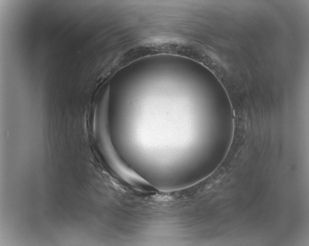 X0000070420965200606091234