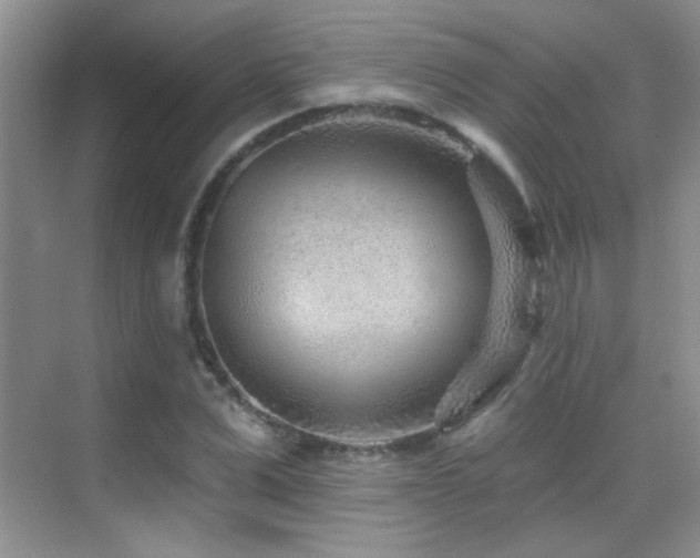 X0000070420975200606091233