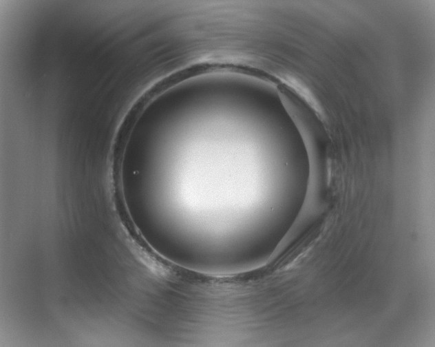 X0000070420976200606091233