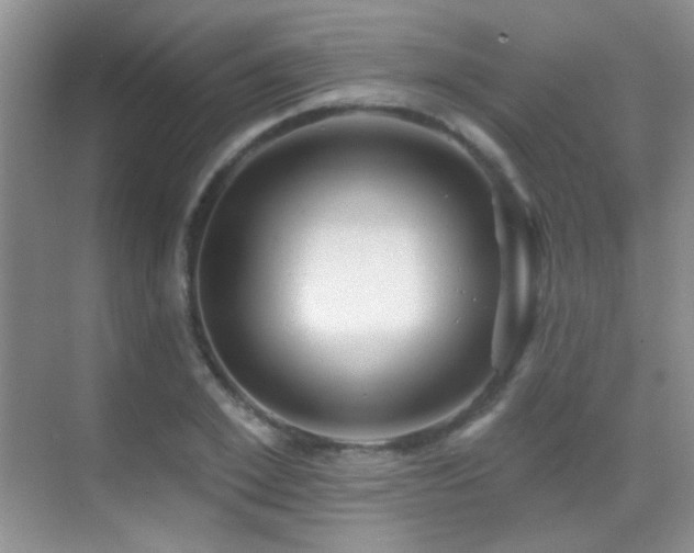 X0000070420981200606091233