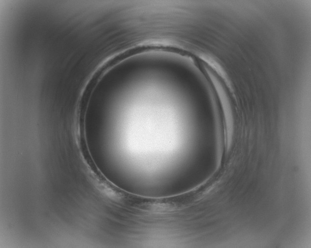 X0000070420984200606091233