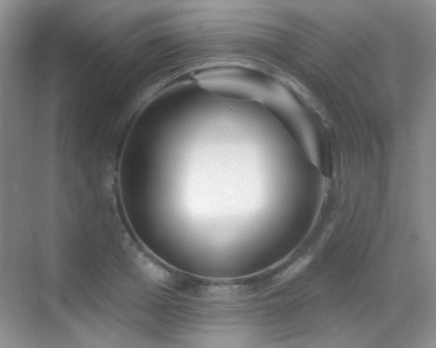 X0000070420985200606091233