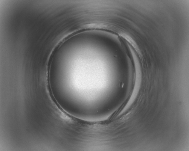 X0000070420992200606091233