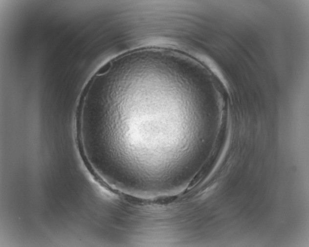 X0000070420999200606091233
