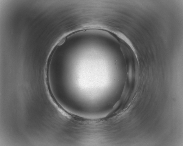 X0000070421005200606091233