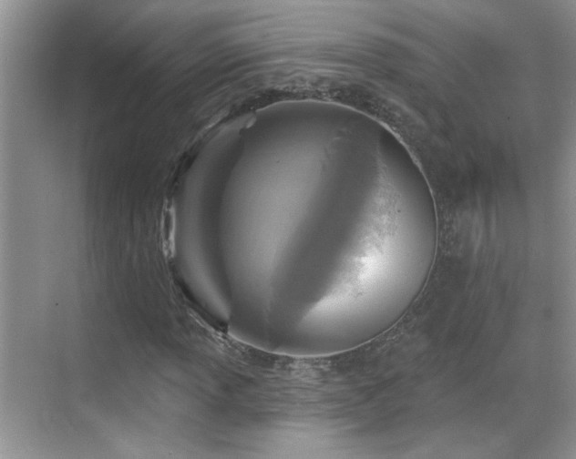 X0000070421013200606091232