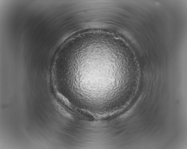X0000070421025200606091232