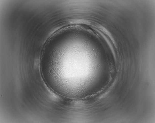 X0000070421041200606091233