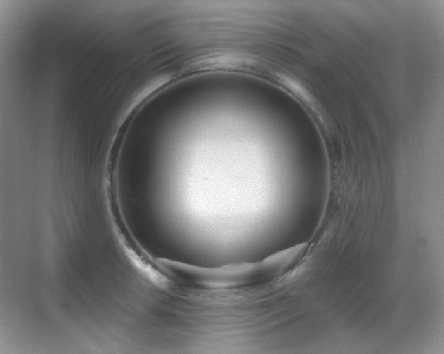 X0000070421042200606091233