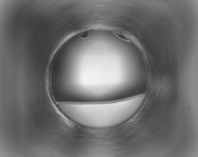 X0000070421048200606091233