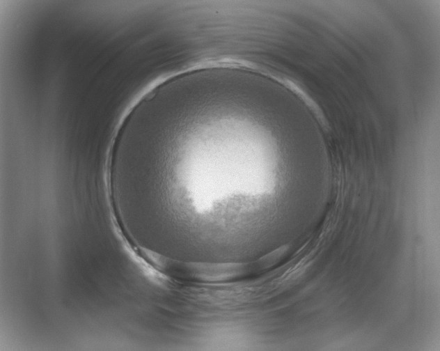 X0000070421054200606091233