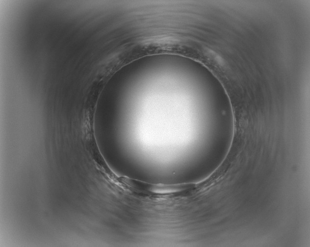 X0000070421062200606091232