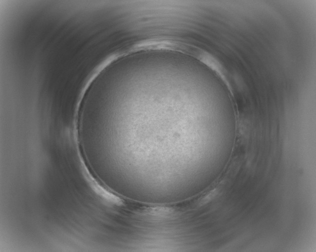 X0000070421090200606091232