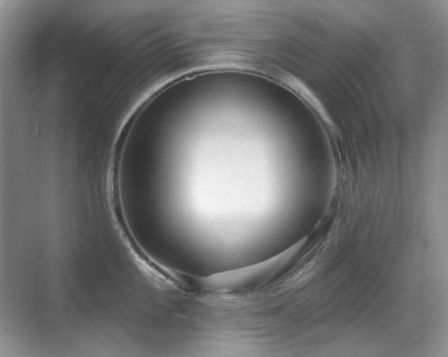 X0000070421101200606091231