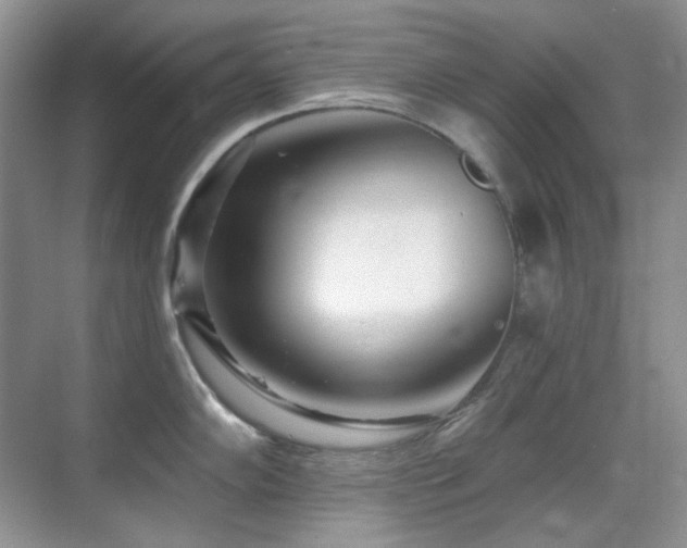 X0000070421102200606091231