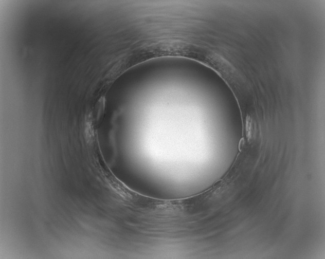 X0000070421107200606091231