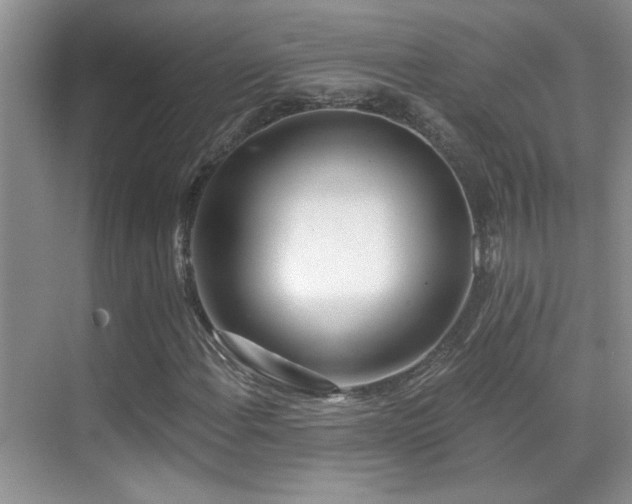 X0000070421108200606091231