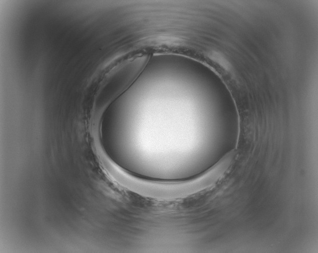 X0000070421112200606091231
