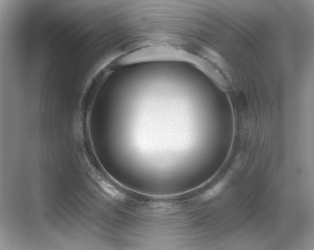 X0000070421114200606091231