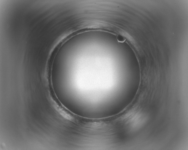 X0000070421122200606091231