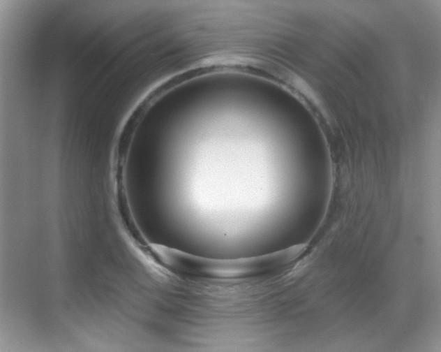 X0000070421124200606091231
