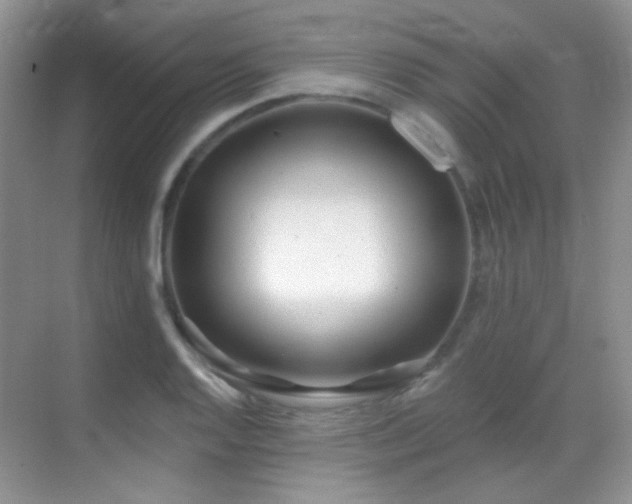 X0000070421128200606091231