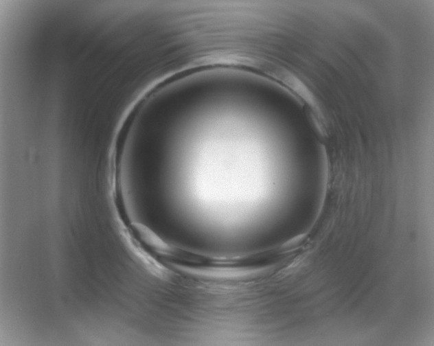 X0000070421132200606091231